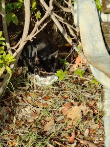 20251110_080614477 (1)