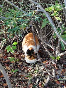 20251110_080729267 (1)