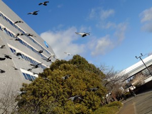 20260122_084442119 (1)