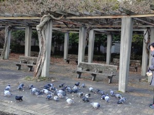 20260123_073149185 (1)