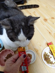 20260130_102650202 (1)