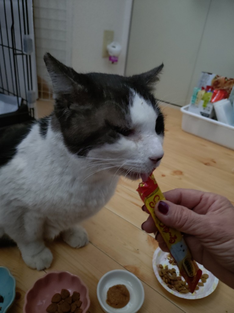 20260130_102402989 (1)