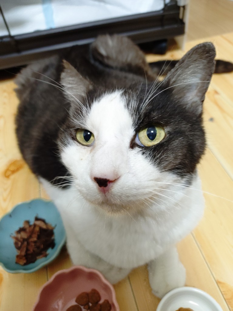 20260130_102923117 (1)