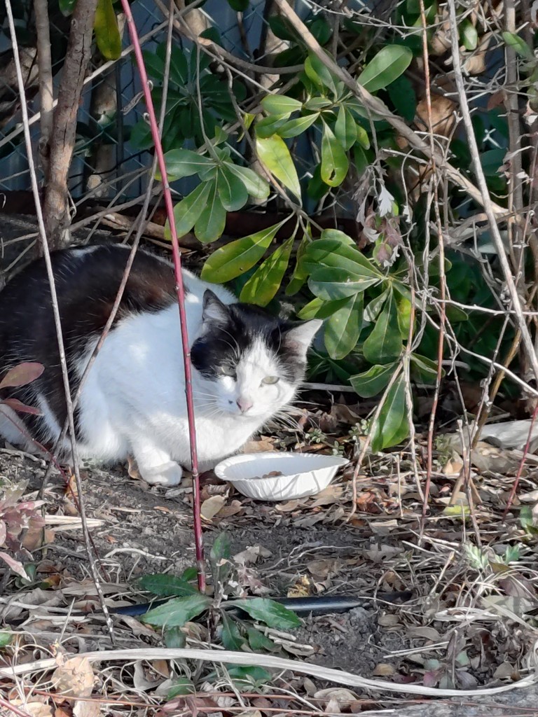 20260206_081333163 (1)