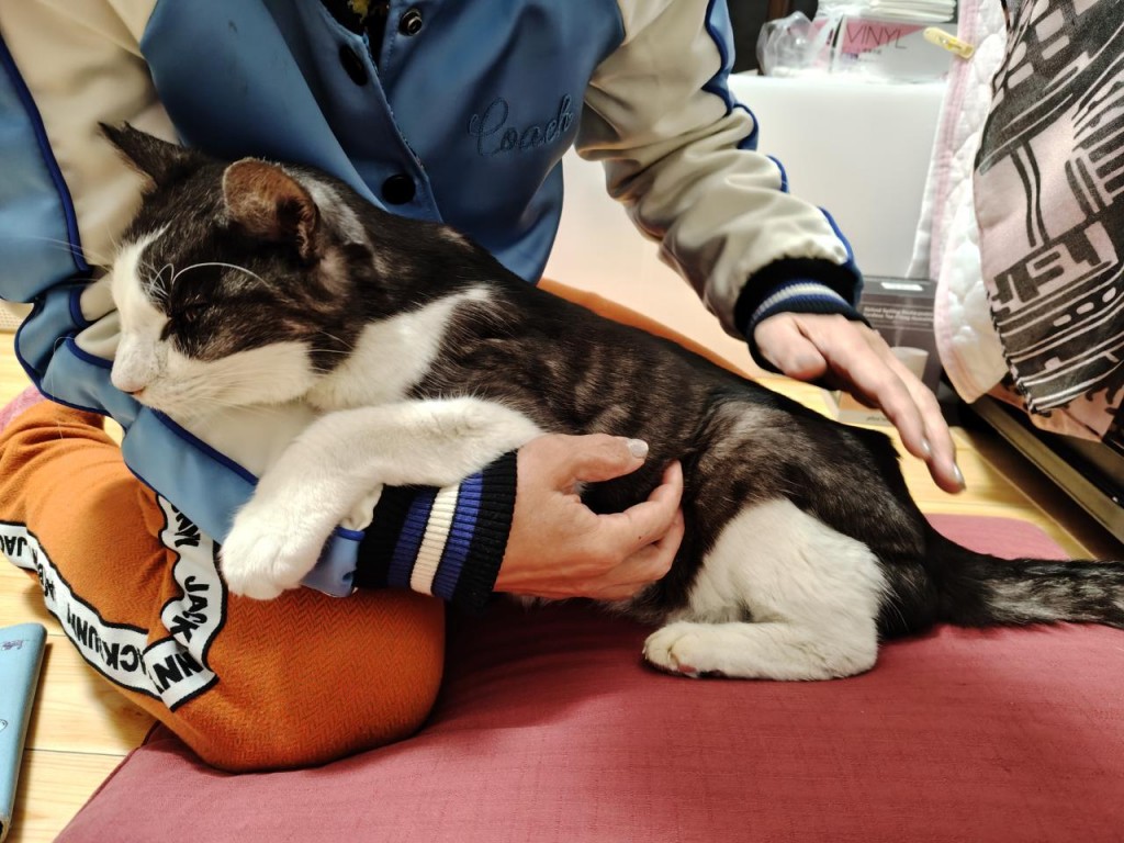 saved_file_1770869072989