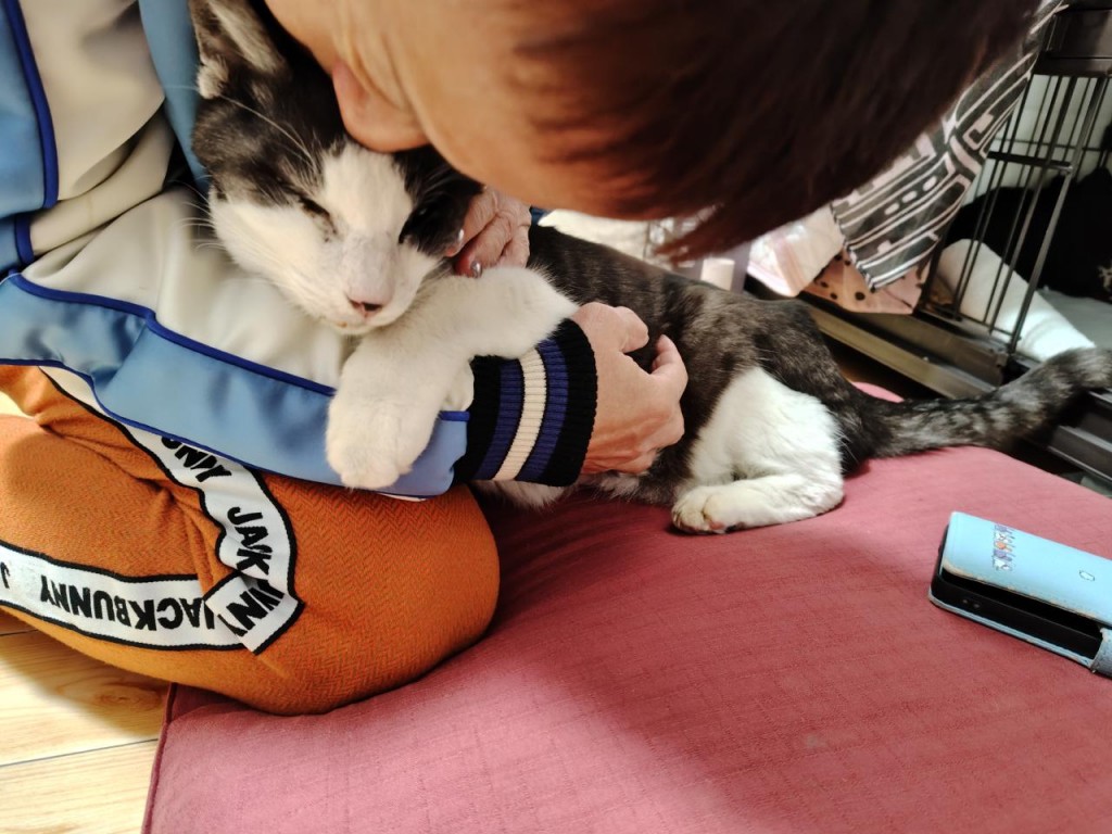 saved_file_1770869084851