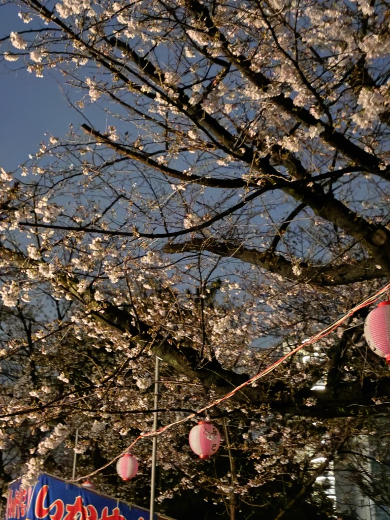 20260328_045829317 (1)